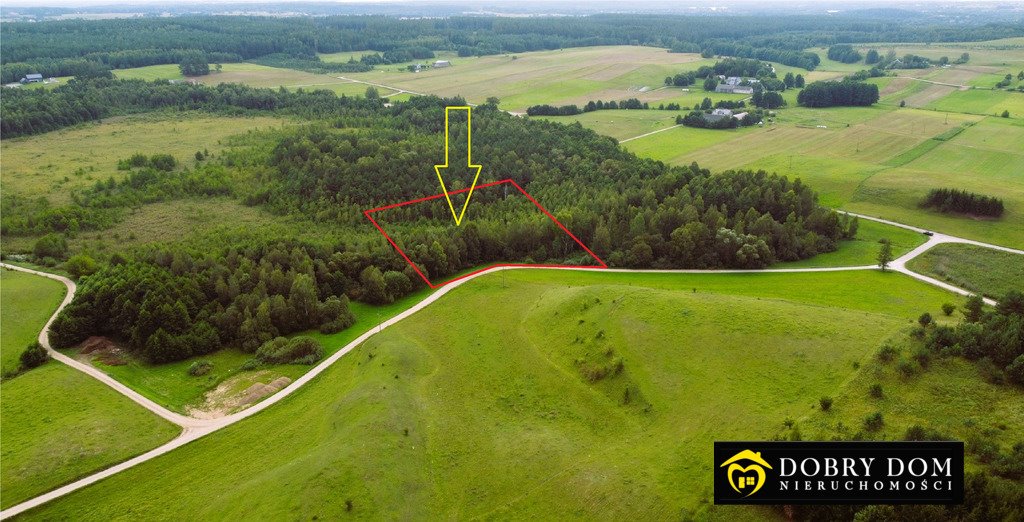 Sprzedam działkę leśną 5585 m² w Osinkach - spokój i potencjał Osinki  5 585m2 Foto 1