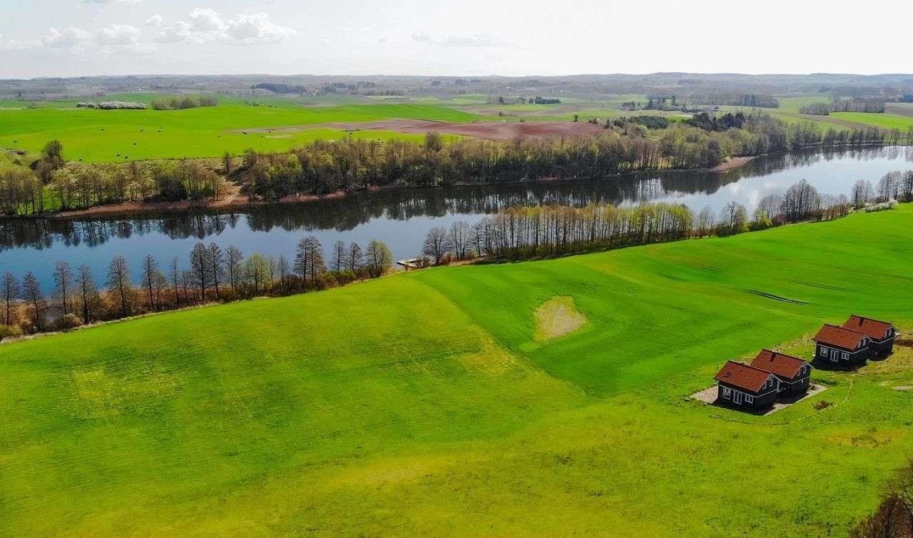 Działka budowlana na sprzedaż Miłki  10 002m2 Foto 10