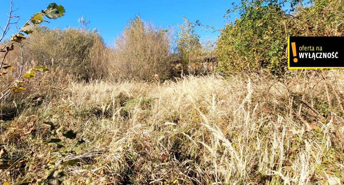 Działka rolna na sprzedaż Kielce, Księdza Piotra Ściegiennego  1 000m2 Foto 3