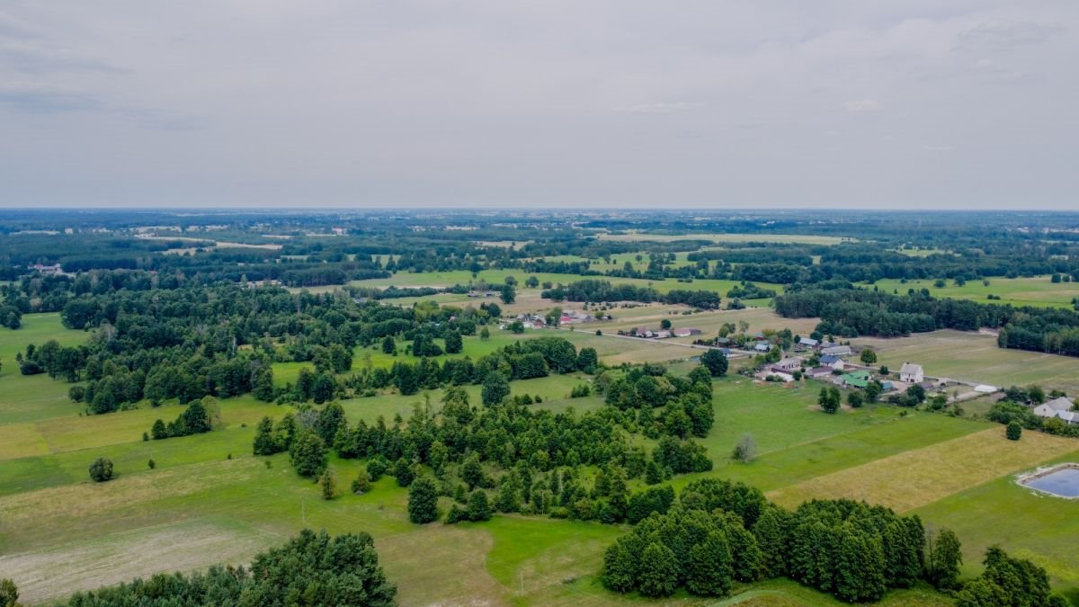 Działka budowlana na sprzedaż Michałowo  5 200m2 Foto 12