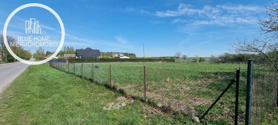 Działka inna na sprzedaż Wierzbica, leśna  1 000m2 Foto 7