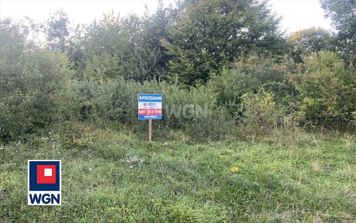 Działka budowlana na sprzedaż Złoty Potok, Słoneczna  1 279m2 Foto 5