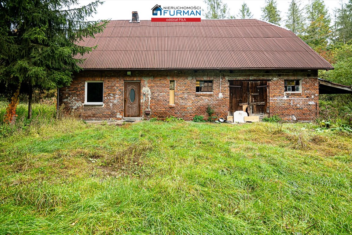 Działka leśna 1637 m² z domem i studnią - idealna na leśniczówkę Dziembowo  1 673m2 Foto 1