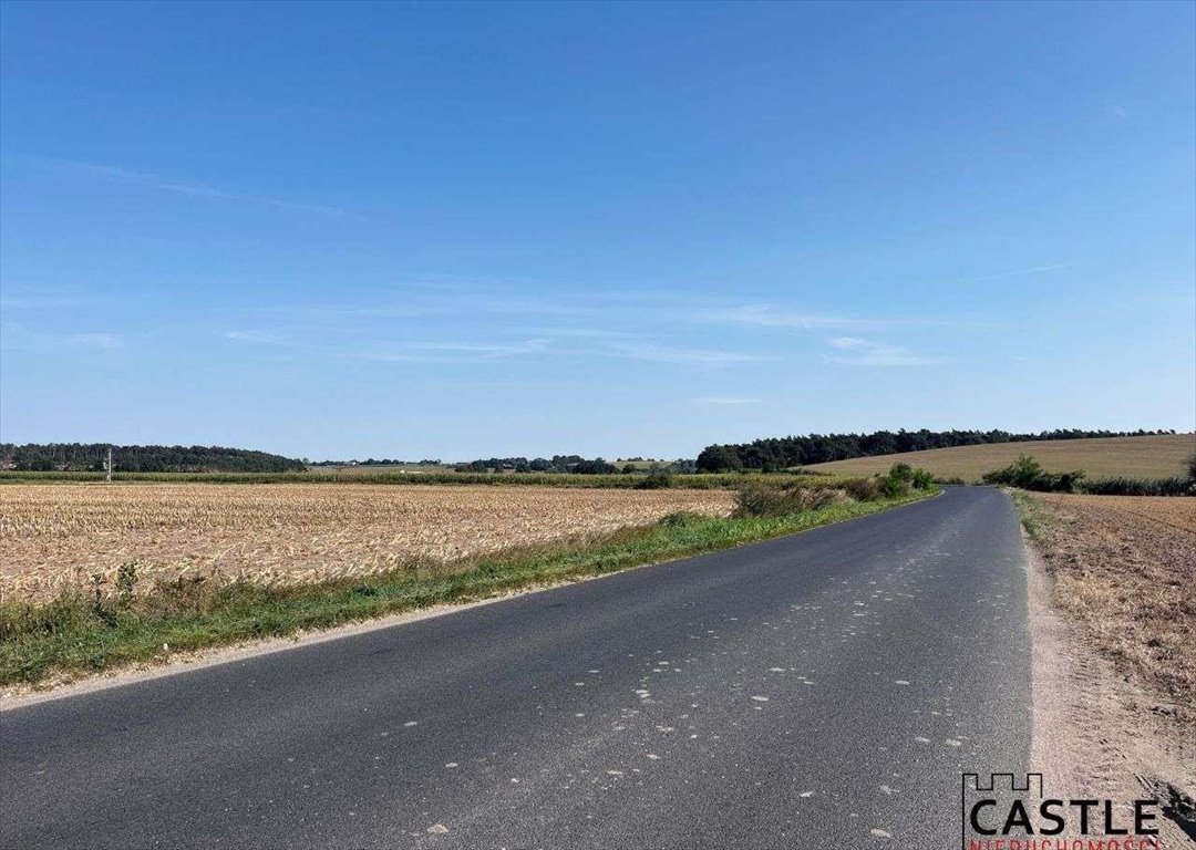 Działka budowlana na sprzedaż Gostyń  56 000m2 Foto 12