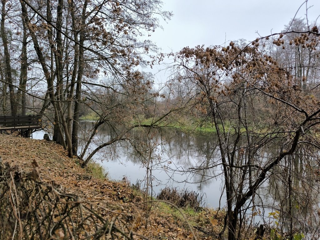 Działka rekreacyjna na sprzedaż Borkowo, Rzeczna  2 302m2 Foto 8