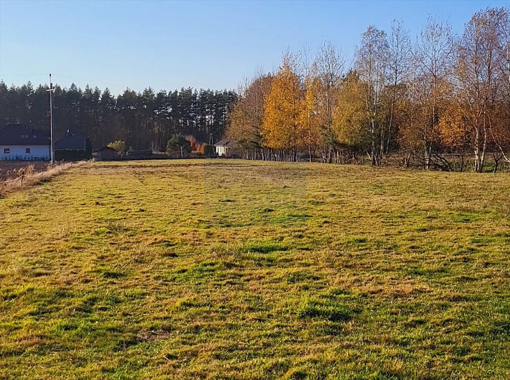 Działka inwestycyjna na sprzedaż Lubliniec, Kwiatowa  6 050m2 Foto 2