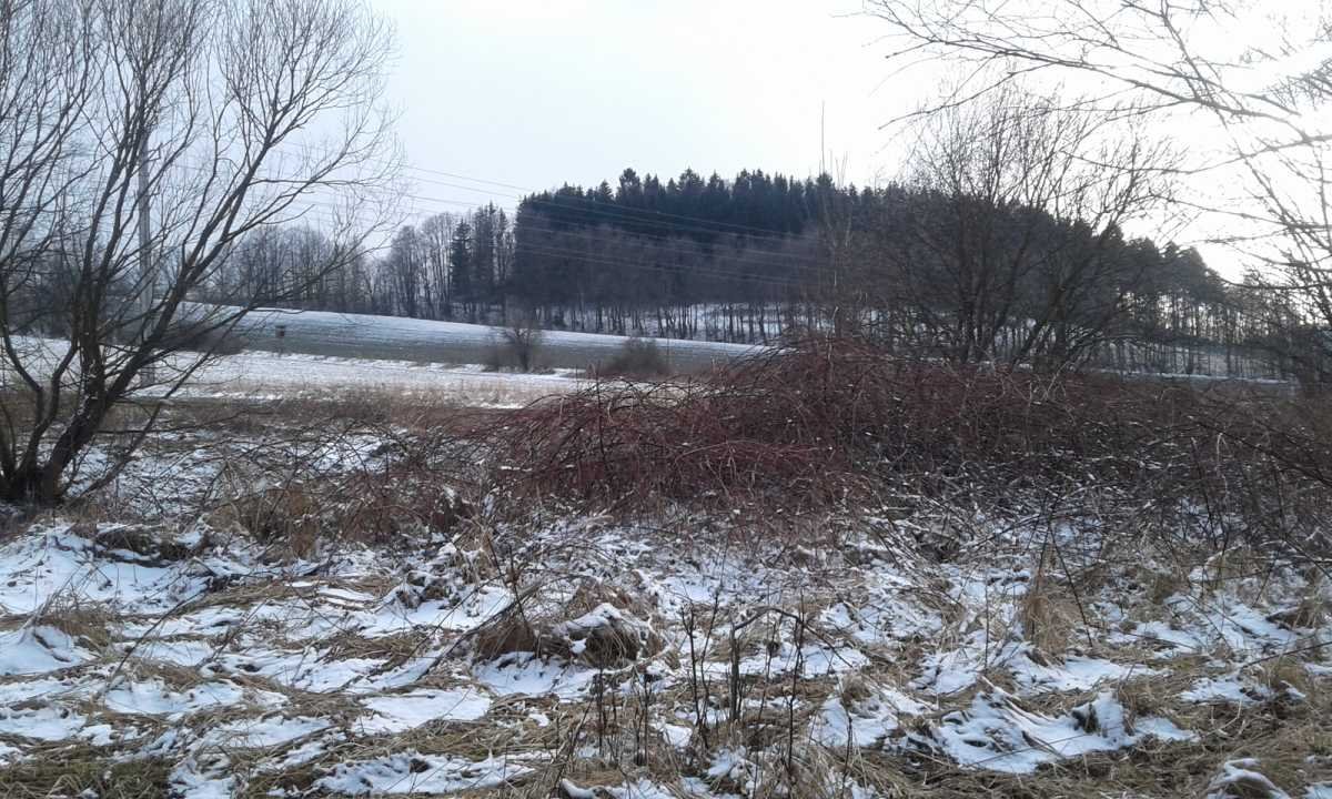 Działka inna na sprzedaż Lądek-Zdrój  5 200m2 Foto 2