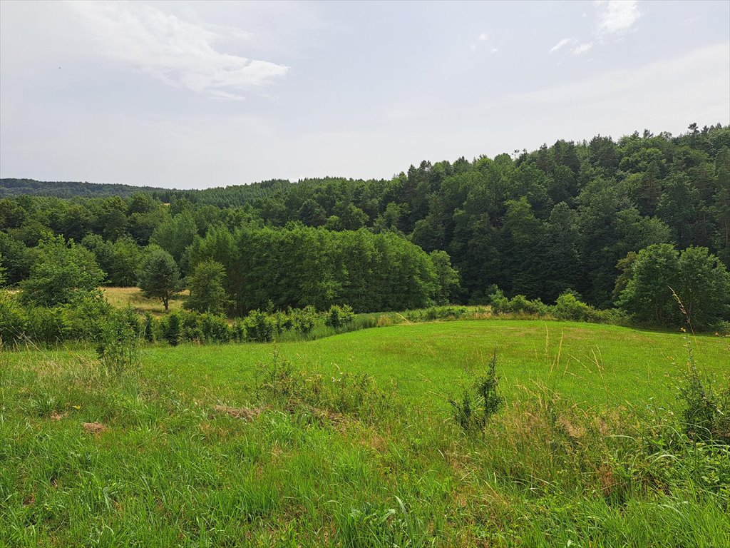 Urokliwa działka rekreacyjna 4765 m² z widokiem na San Dobra  4 765m2 Foto 1
