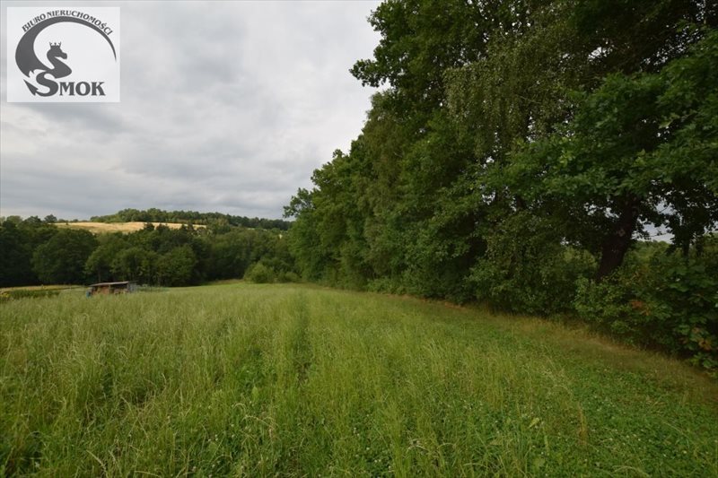 Działka budowlana na sprzedaż Zarzyce Małe 4 000m2 Foto 1 Działka budowlana na sprzedaż Zarzyce Małe 4 000m2 Foto 1