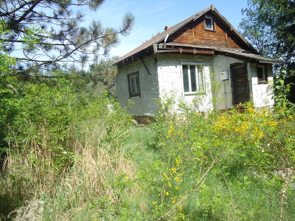 Działka budowlana na sprzedaż Biały Ług, Biały Ług, Główna  4 100m2 Foto 1