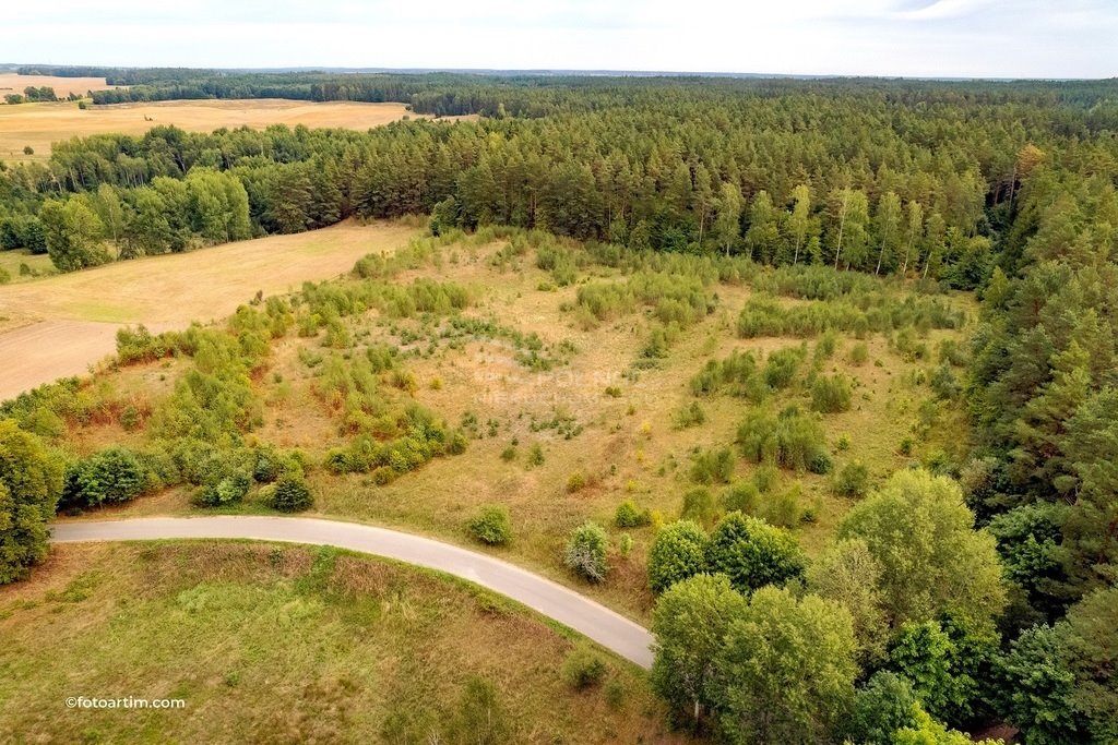 Działka rolna na sprzedaż Elganowo  23 300m2 Foto 8