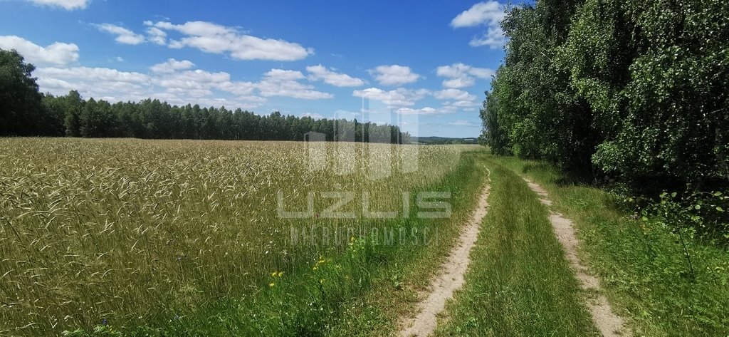 Działka leśna na sprzedaż Wysin  17 600m2 Foto 3