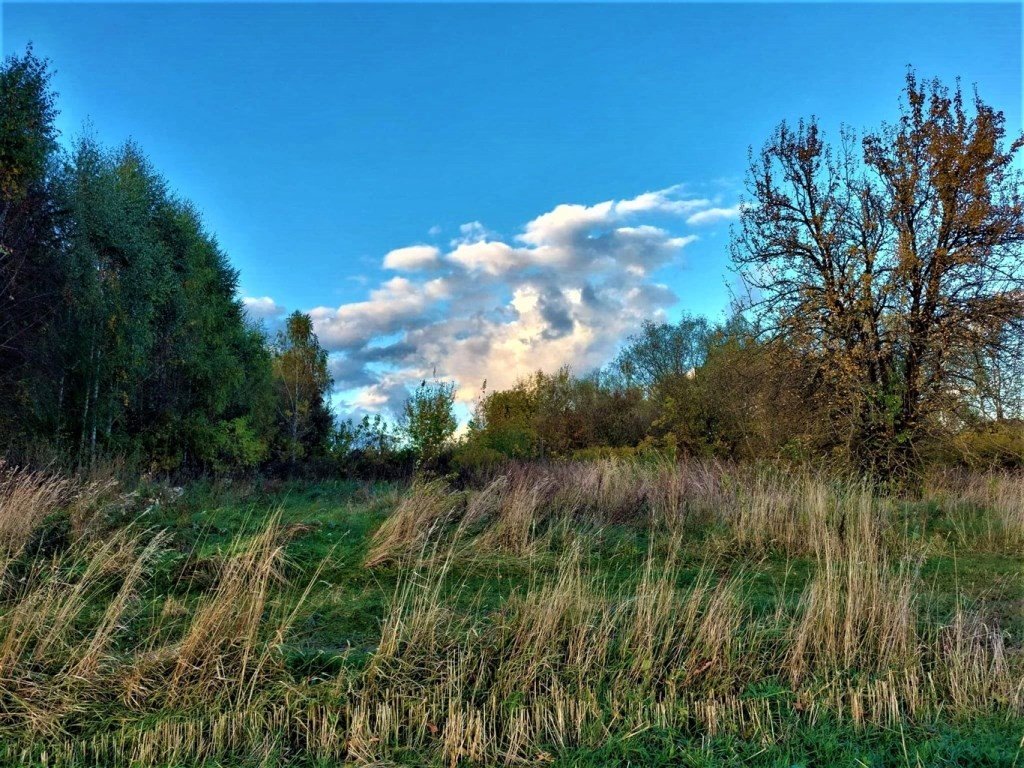 Działka 1400 m2 z warunkami zabudowy, spokój i widoki Szudziałowo  1 400m2 Foto 1