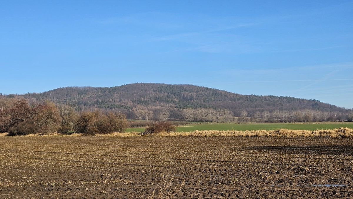 Działka budowlana na sprzedaż Książnica  1 200m2 Foto 1