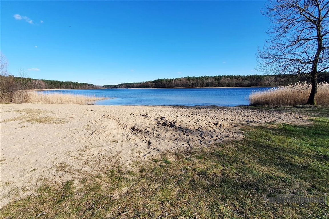 Działka budowlana na sprzedaż Spore  1 634m2 Foto 12