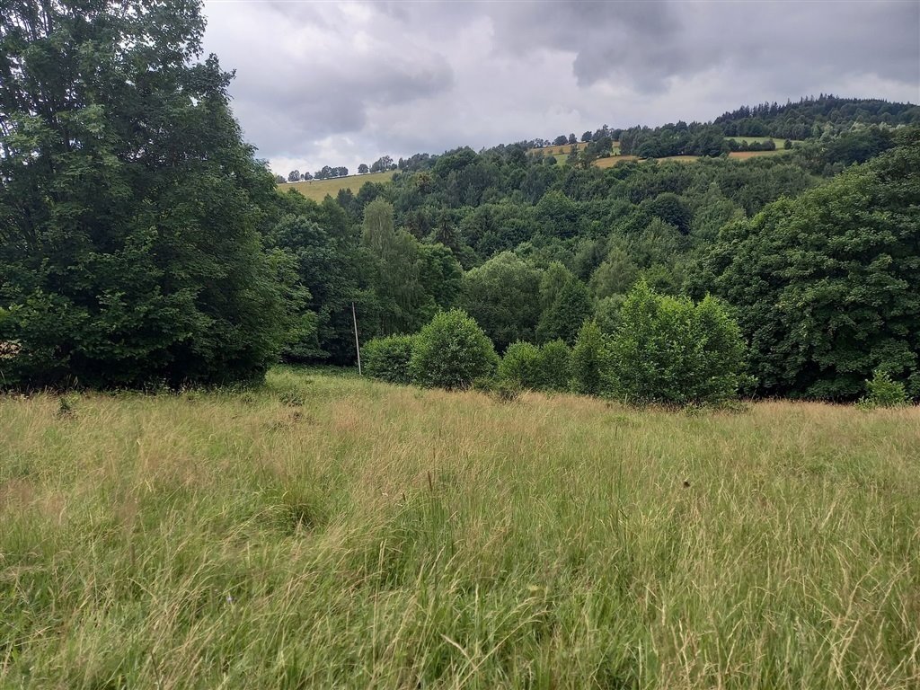 Działka 6 340 m2 z widokami, zacisze, media w drodze Walim  6 340m2 Foto 1