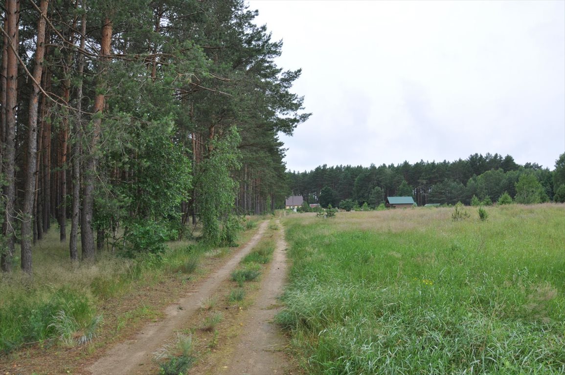 Sprzedam działkę Jaszczerz , 16500 m2, 115500 PLN Domiporta.pl