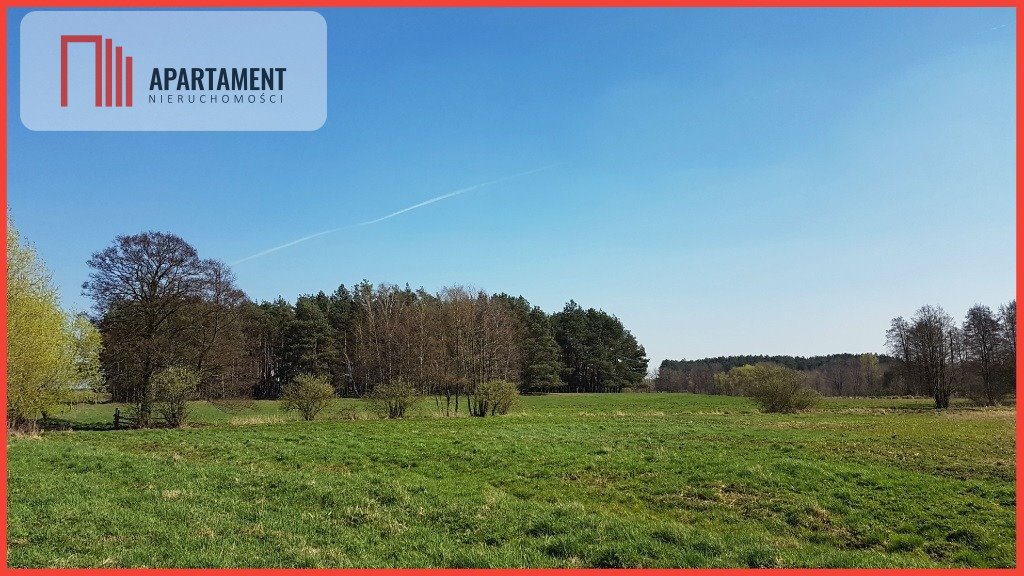 70 700 m² działka z lasem i WZ pod zabudowę Kobylanka  70 700m2 Foto 1