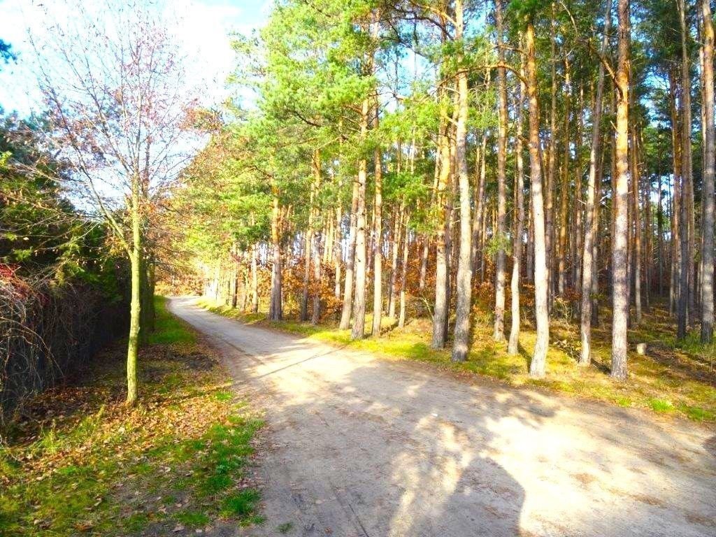 Działka budowlana na sprzedaż Borówiec, Poznańska  1 990m2 Foto 1