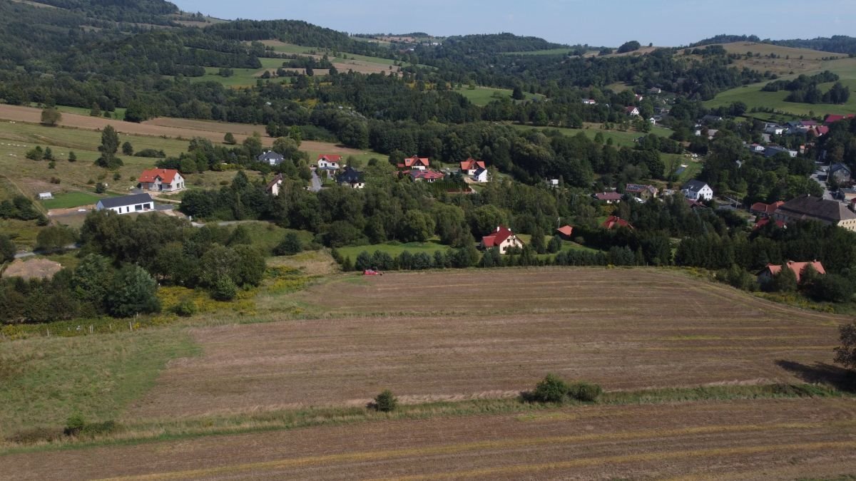 Działka budowlana na sprzedaż Dziwiszów  1 425m2 Foto 5