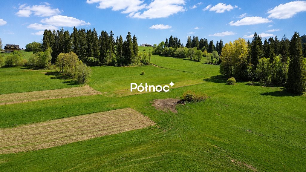 Działki rolne w Brzegach pod lasem, 86 arów, cisza Brzegi, Wierchowa  8 600m2 Foto 1