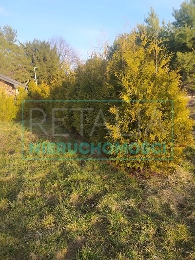 Działka budowlana na sprzedaż Rusiec  1 151m2 Foto 2