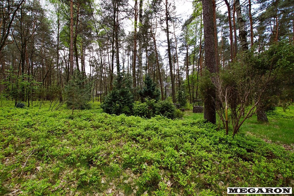 Działka inna na sprzedaż Żarki-Letnisko  3 180m2 Foto 12