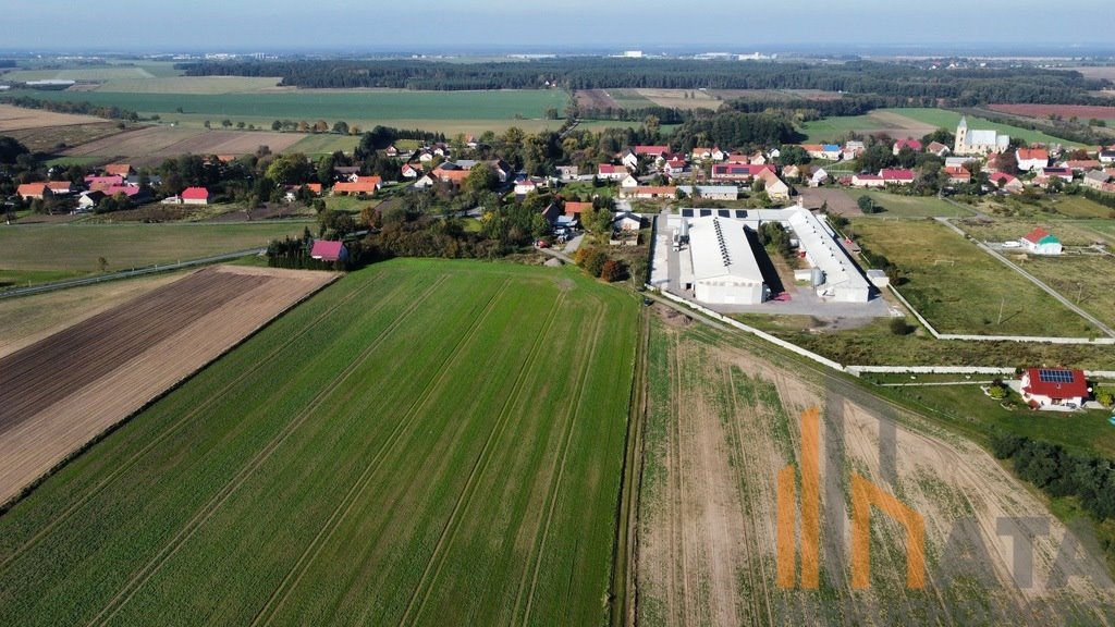 Działka budowlana na sprzedaż Kryniczno  12 400m2 Foto 4