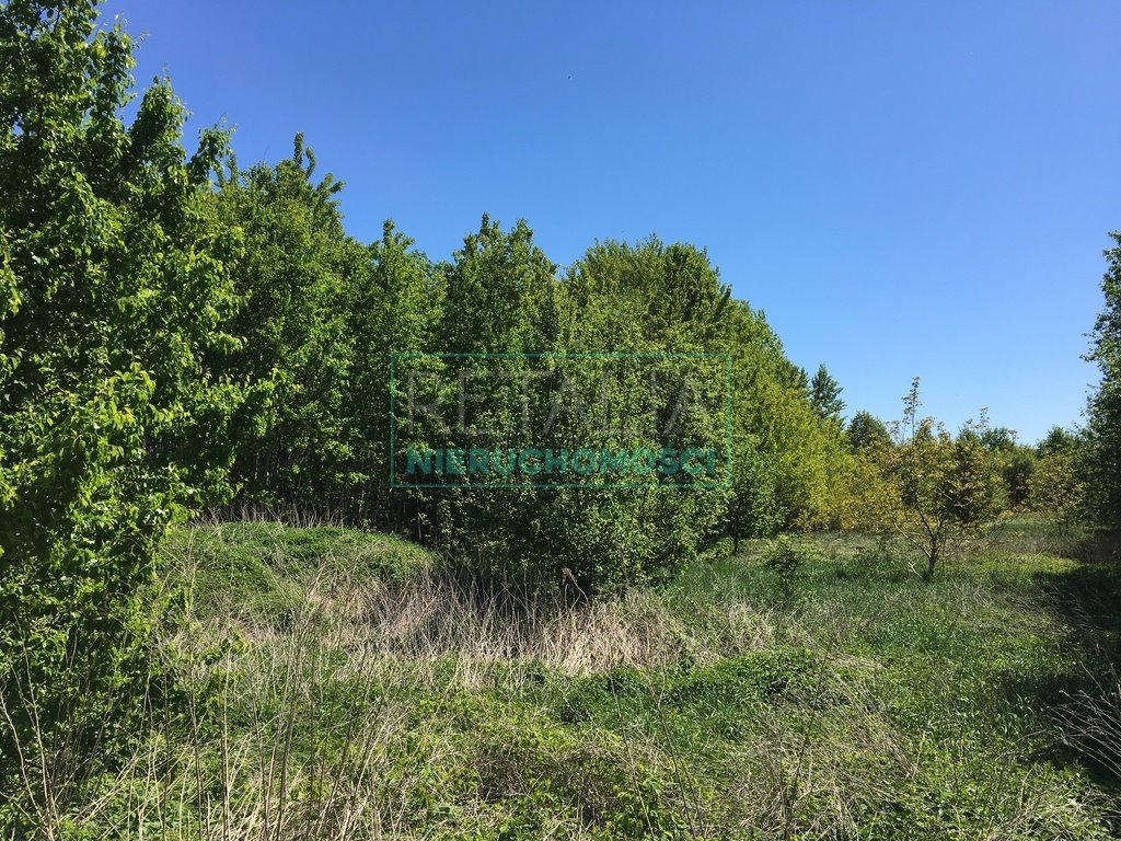 Działka 2 ha z mediami i dobrym dojazdem w Krakowianach Krakowiany  20 000m2 Foto 1