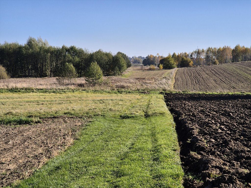 Działka budowlana na sprzedaż Długie  2 532m2 Foto 8