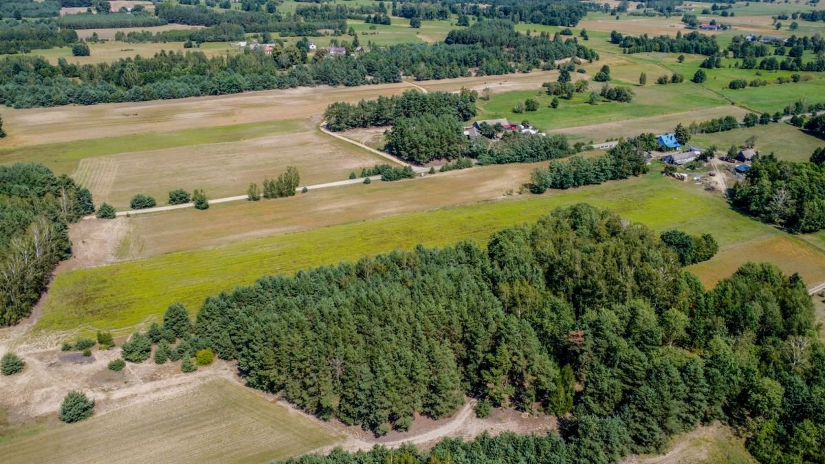 Działka budowlana na sprzedaż Marianowo  29 831m2 Foto 5