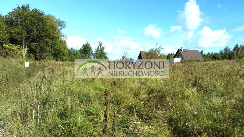 Działka budowlana na sprzedaż Bielkówko 6 000m2 Foto 1 Działka budowlana na sprzedaż Bielkówko 6 000m2 Foto 1