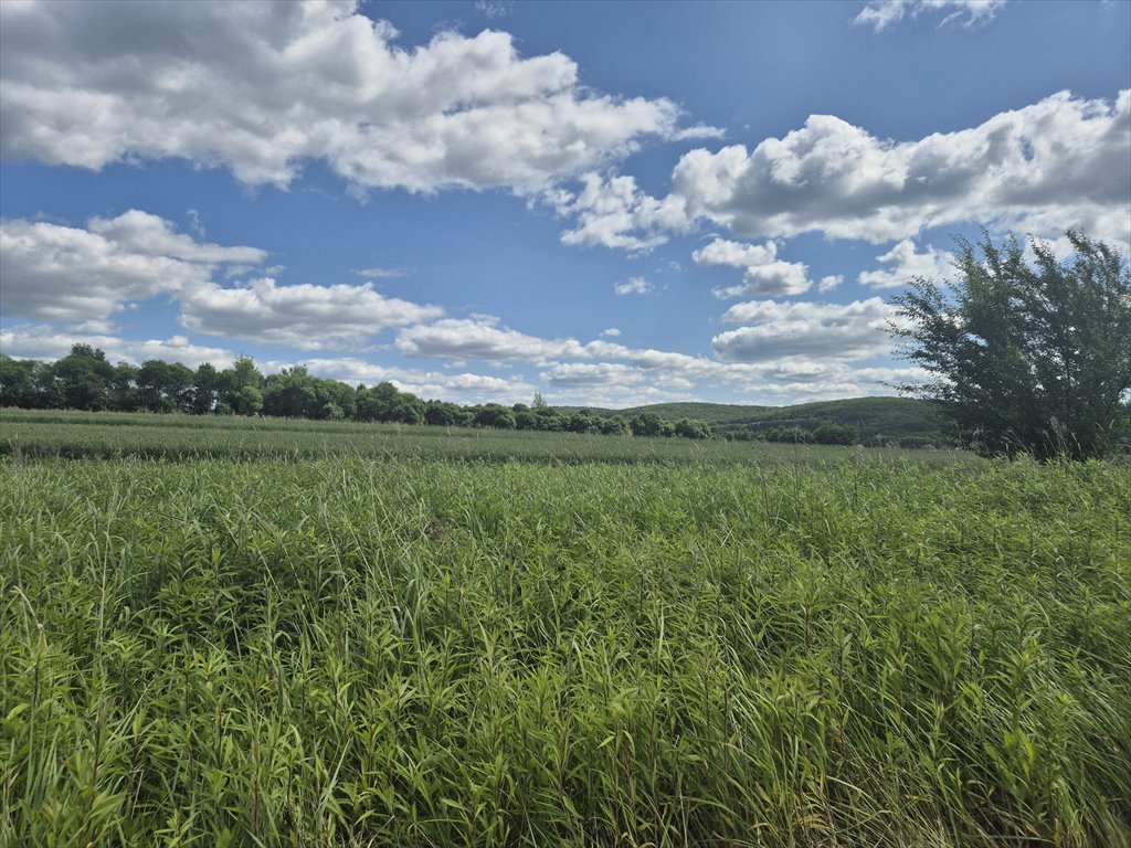 Działka budowlana na sprzedaż Żarnowiec, Cyba  4 490m2 Foto 1