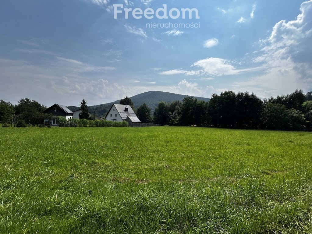 Działka budowlana na sprzedaż Targanice, Olchowa  3 200m2 Foto 5