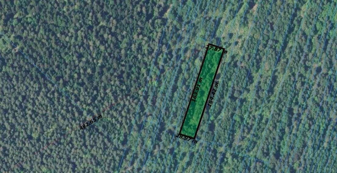 Działka inna na sprzedaż Samsonów  4 400m2 Foto 1