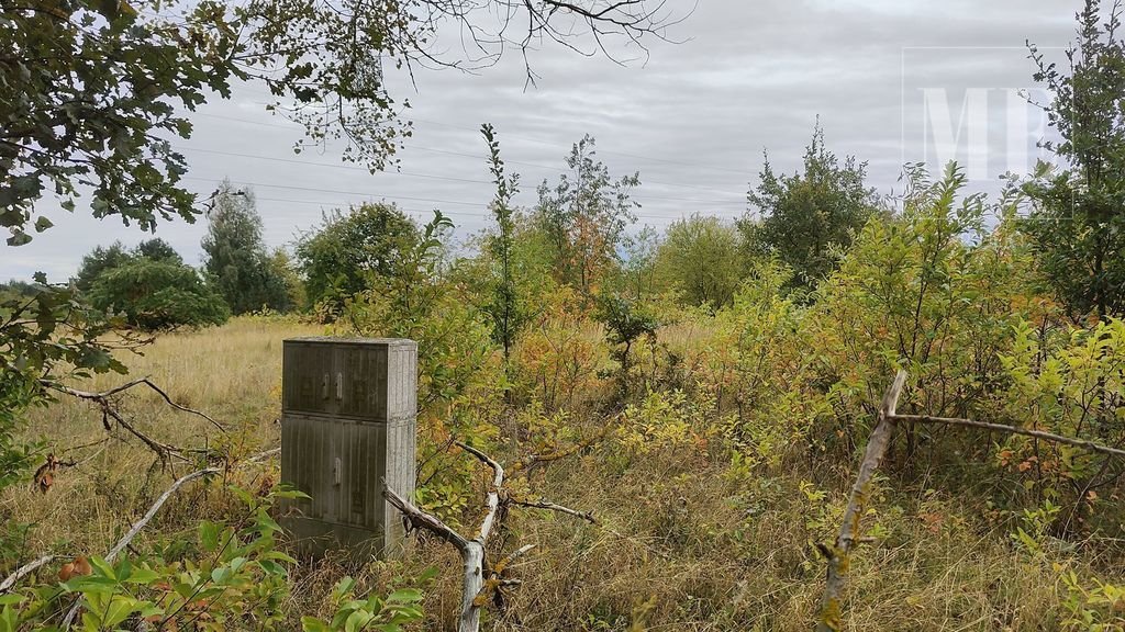 Działka rolna na sprzedaż Rurzyca, Jesionowa  1 007m2 Foto 2