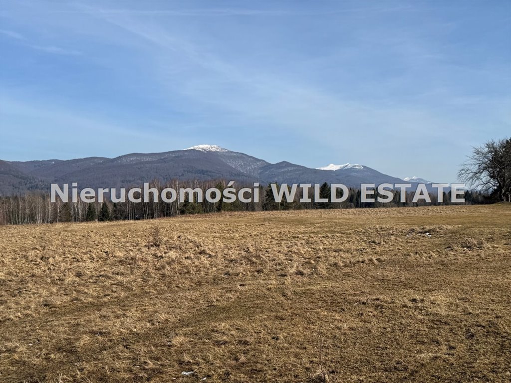 Działka budowlana na sprzedaż Cisna, Strzebowiska  25 232m2 Foto 19