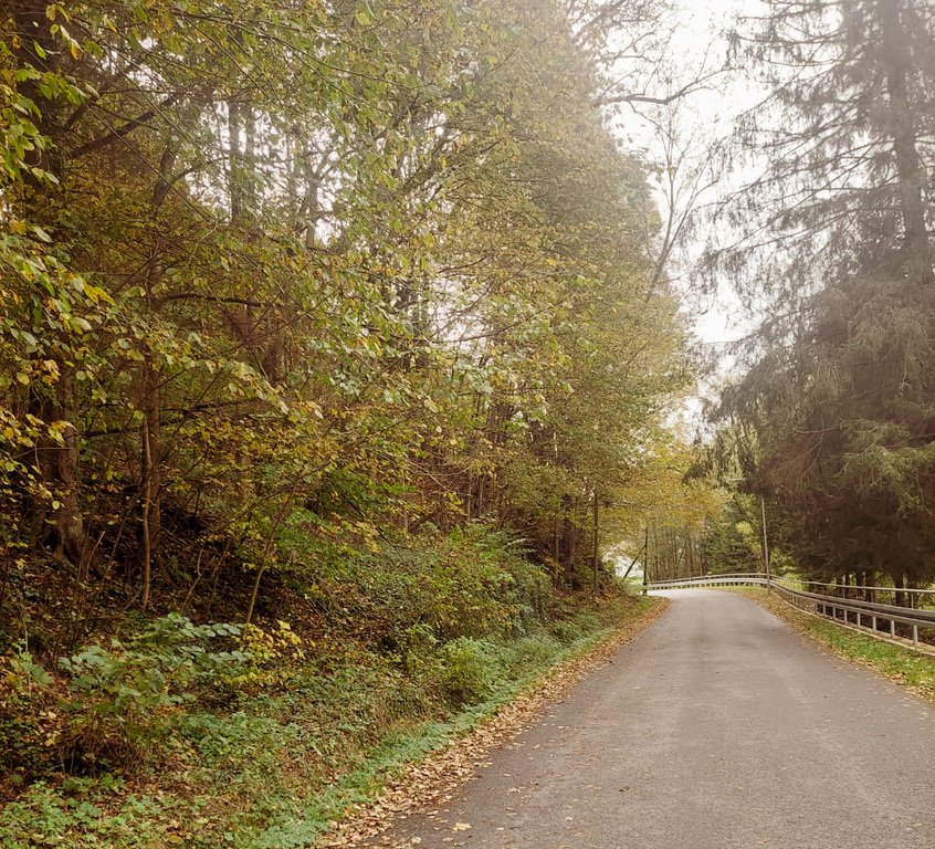 Działka inna na sprzedaż Różanka  7 500m2 Foto 3