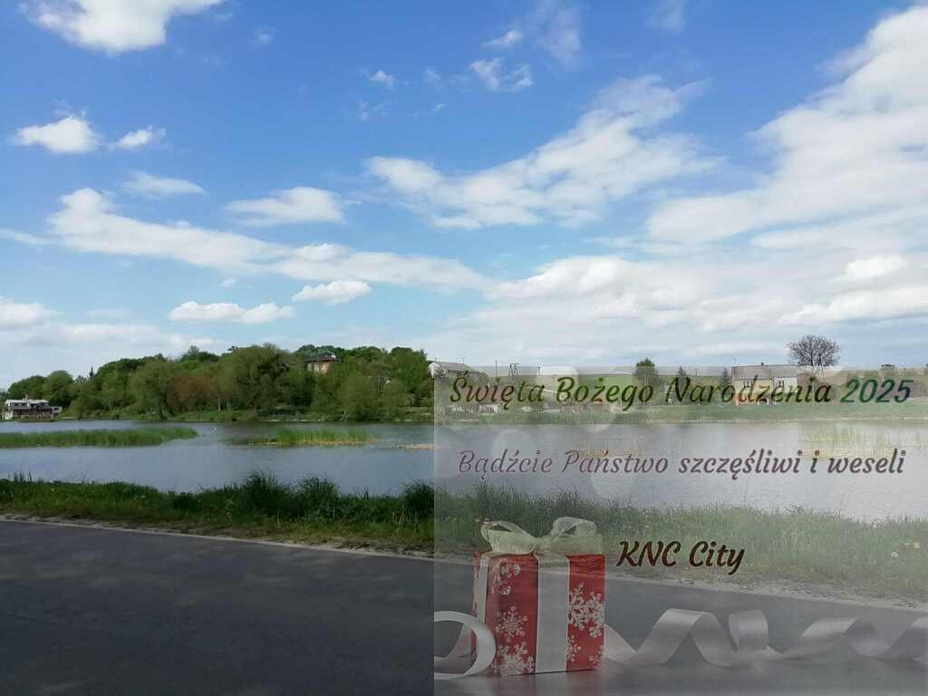 Działka komercyjna na sprzedaż Klementowice  46 160m2 Foto 1