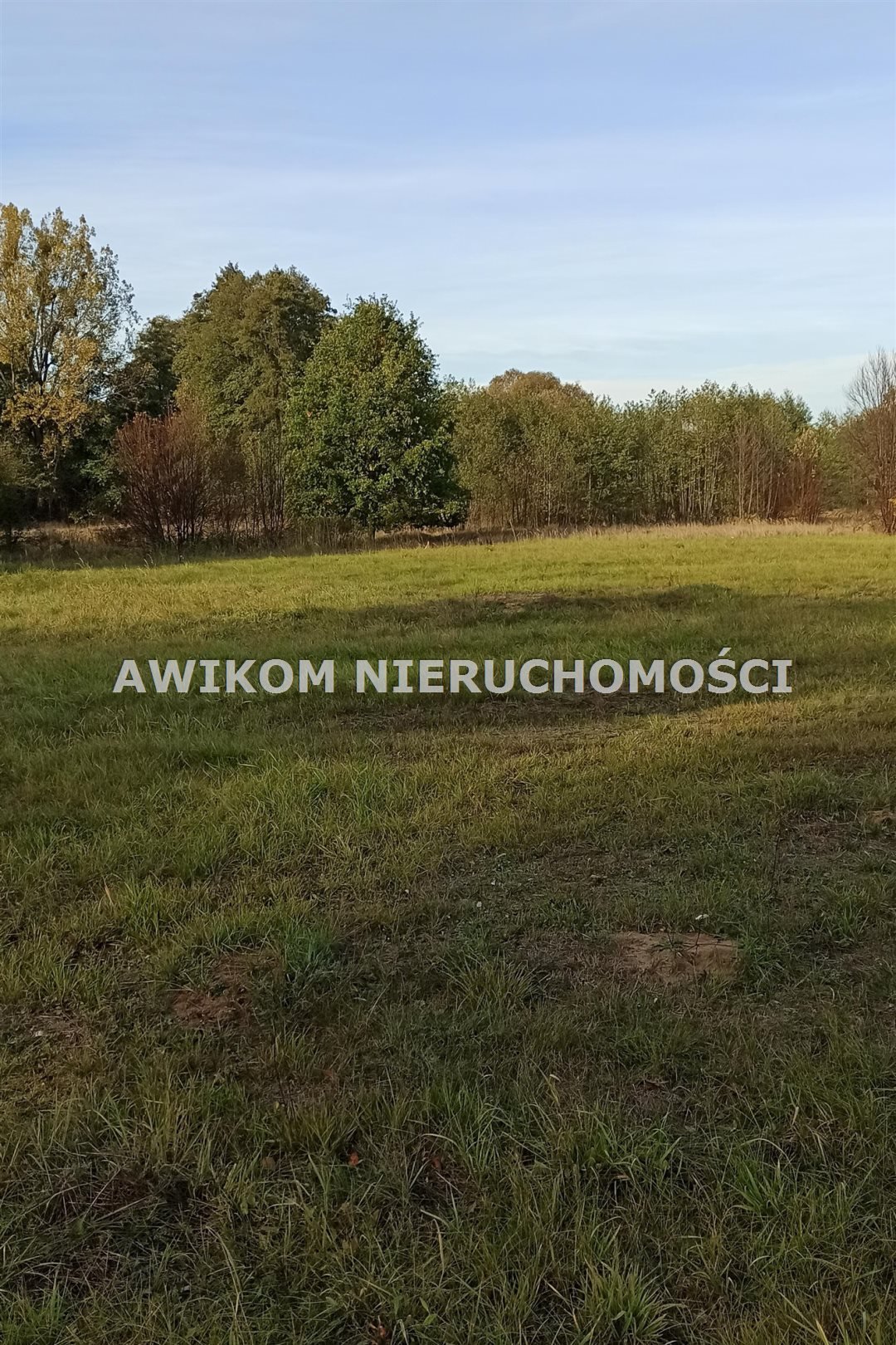 Działka 963 m² w Budach Grzybek (media, spokojna okolica) Jaktorów, Budy-Grzybek  963m2 Foto 1