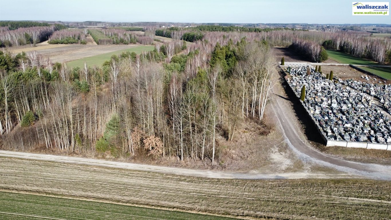 Działka rolna 2400 m² w Wójcinie – atrakcyjna cena! Wójcin  2 400m2 Foto 1