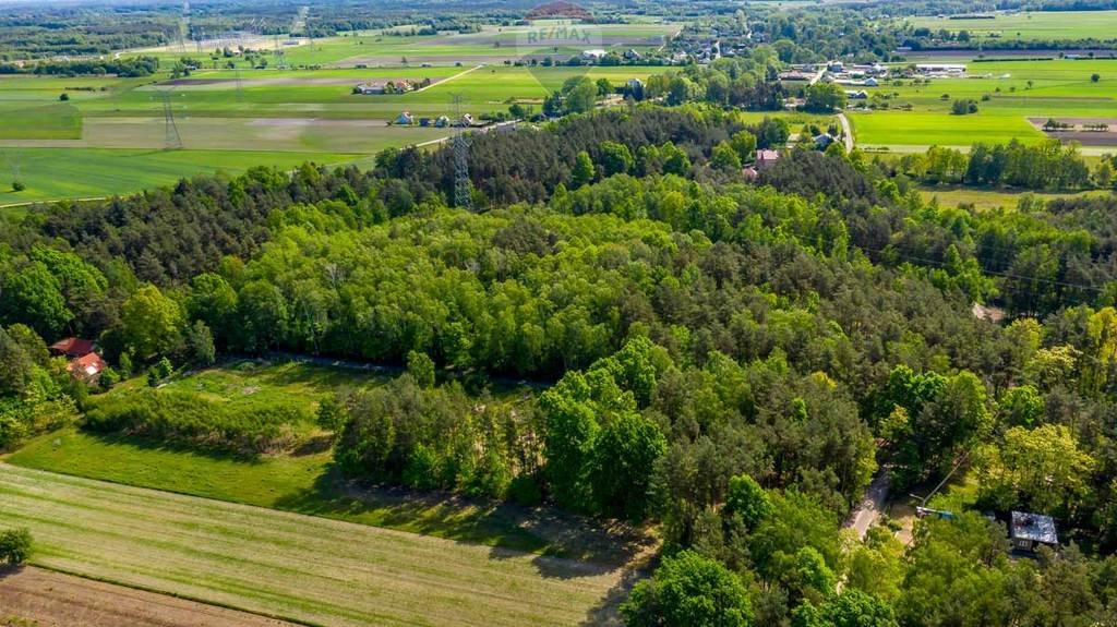 Działka rolna na sprzedaż Suchowizna  3 100m2 Foto 8