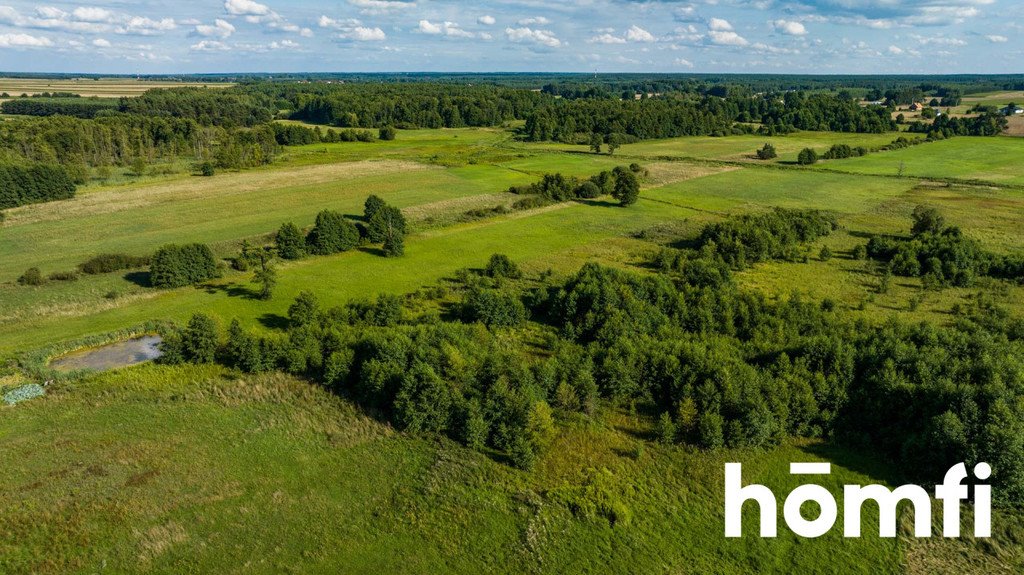 Działka budowlana na sprzedaż Zakrzówek-Kolonia  17 100m2 Foto 15