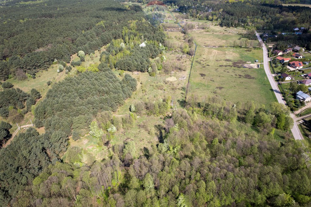 Działka leśna z prawem budowy na sprzedaż Skrzeszew, Olszankowa  23 411m2 Foto 9