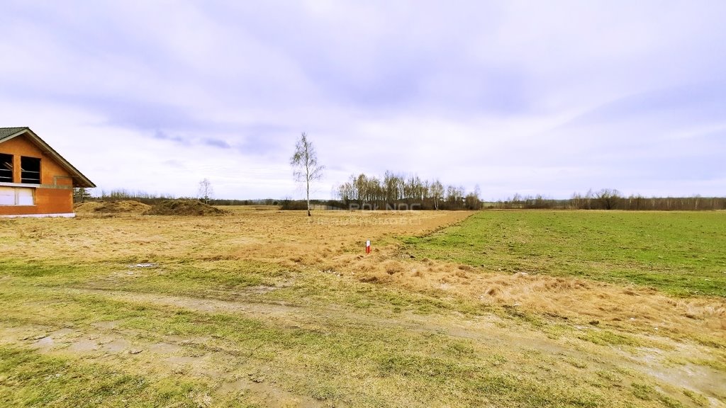 Działka budowlana na sprzedaż Wykroty, Mikołaja Kopernika  6 841m2 Foto 2