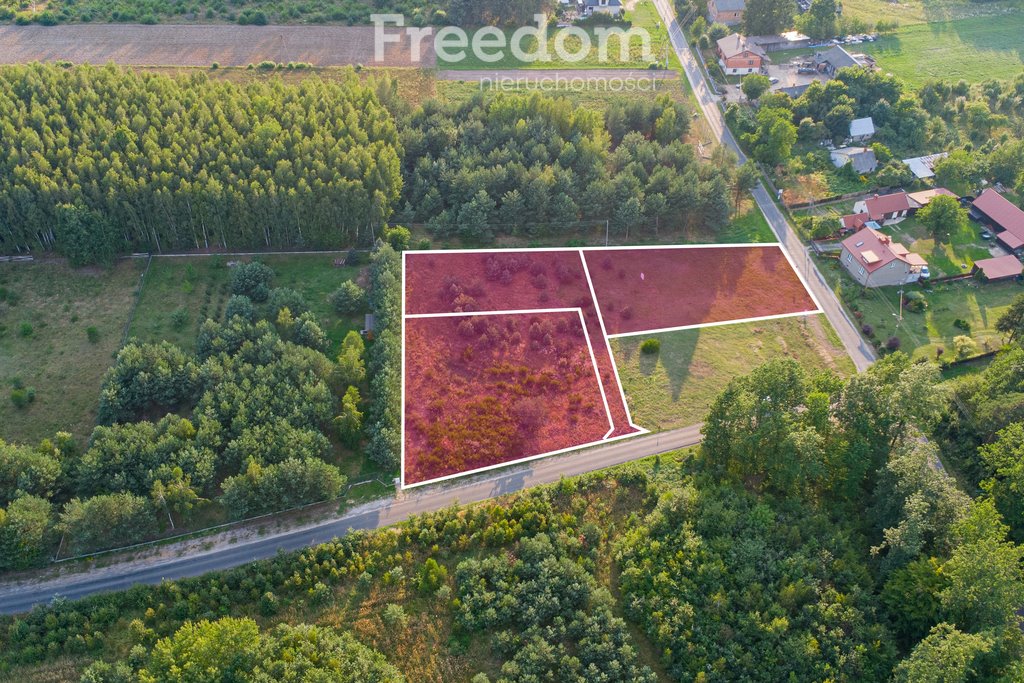 Działka budowlana na sprzedaż Grzegorzewice, Daleka  1 260m2 Foto 1