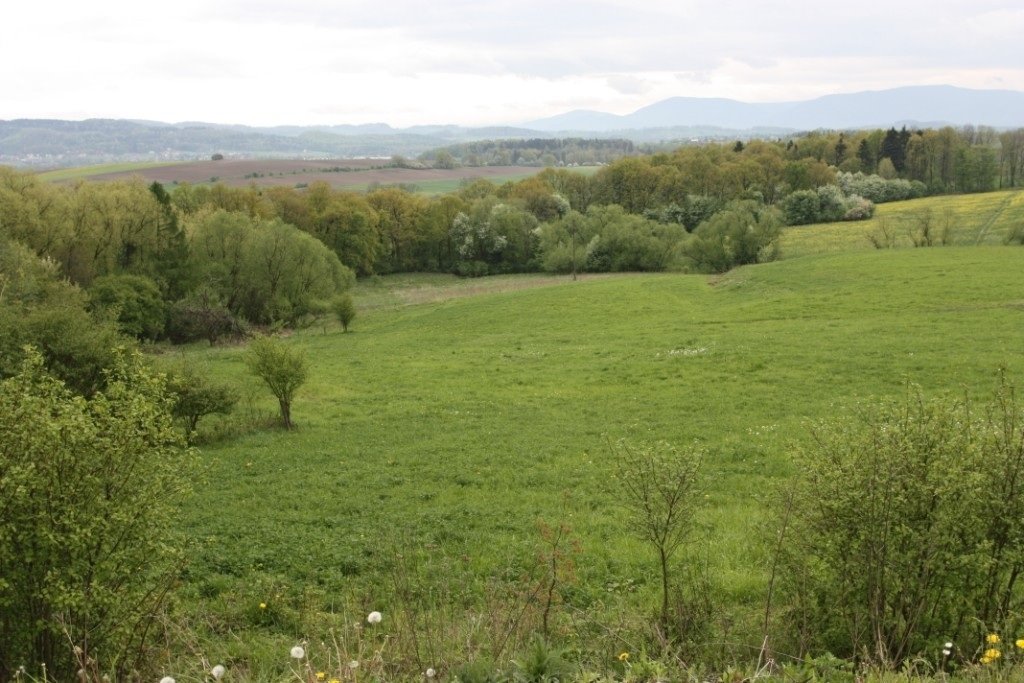 Działka 25 442 m² z możliwością rozwoju i inwestycji Ogrodzona  25 442m2 Foto 1