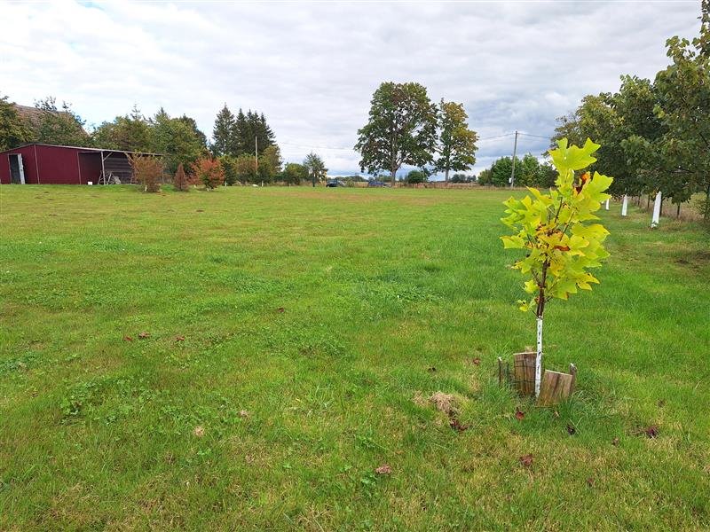 Działka inna na sprzedaż Kosierzewo, Kosierzewo  3 287m2 Foto 10