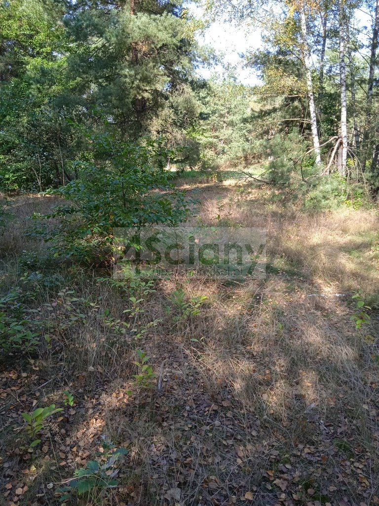 Działka 1490 m² pod zabudowę w Chotomowie, blisko lasu Chotomów  1 490m2 Foto 1