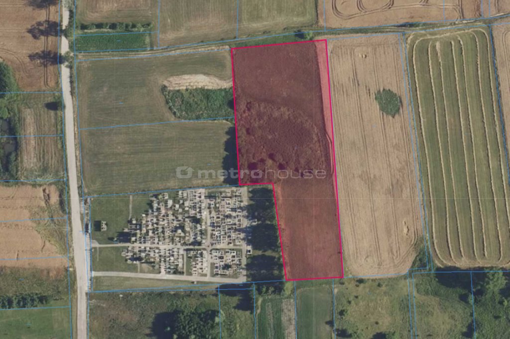 Duża działka rolna z potencjałem na siedlisko, 8 300 m² Franknowo  8 300m2 Foto 1